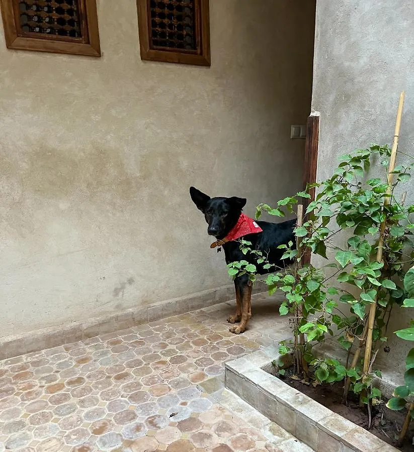 Riad Alena Marrakesh