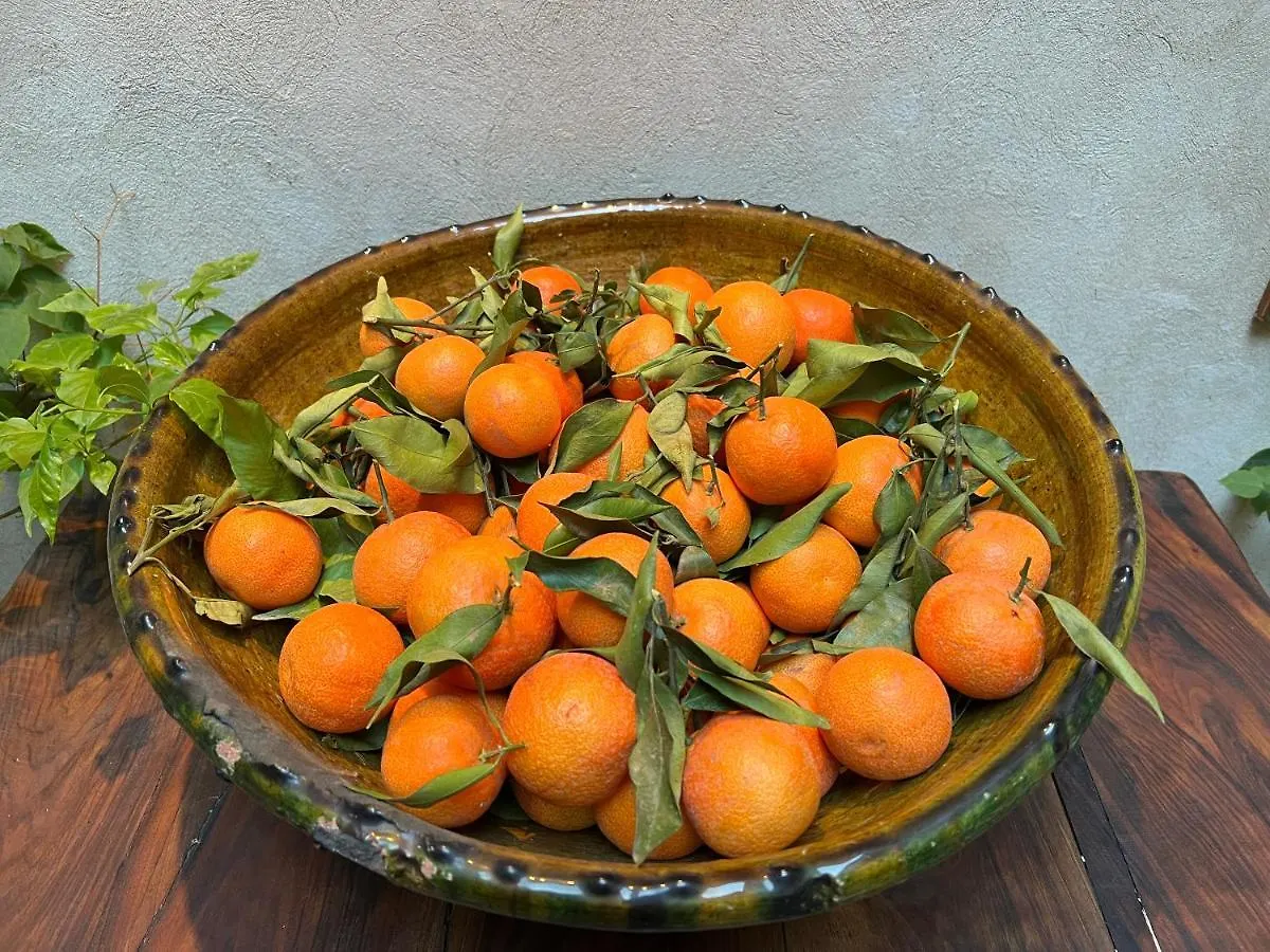 Guest house Riad Alena Marrakesh